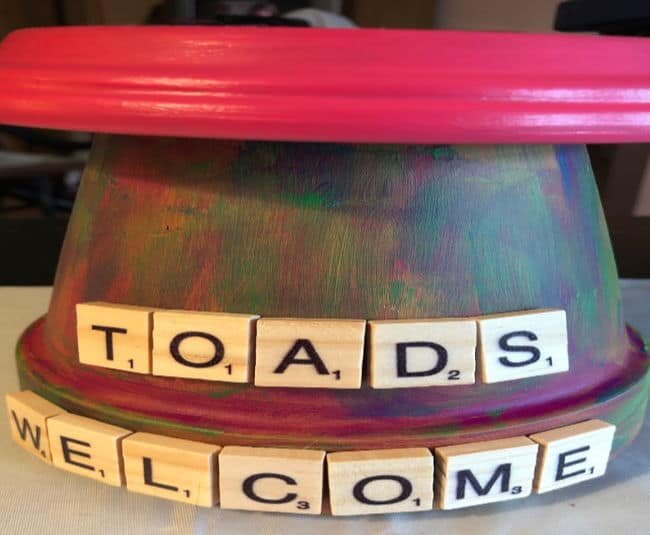 completed toad house