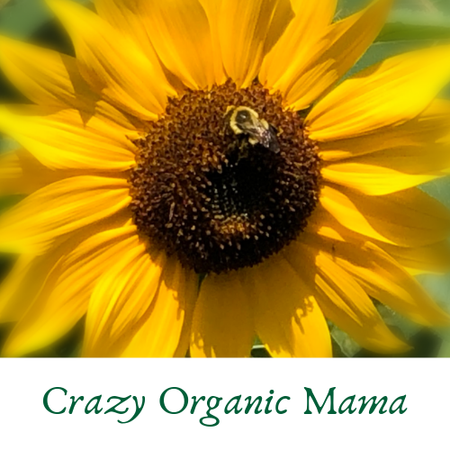 Crazy Organic Mama