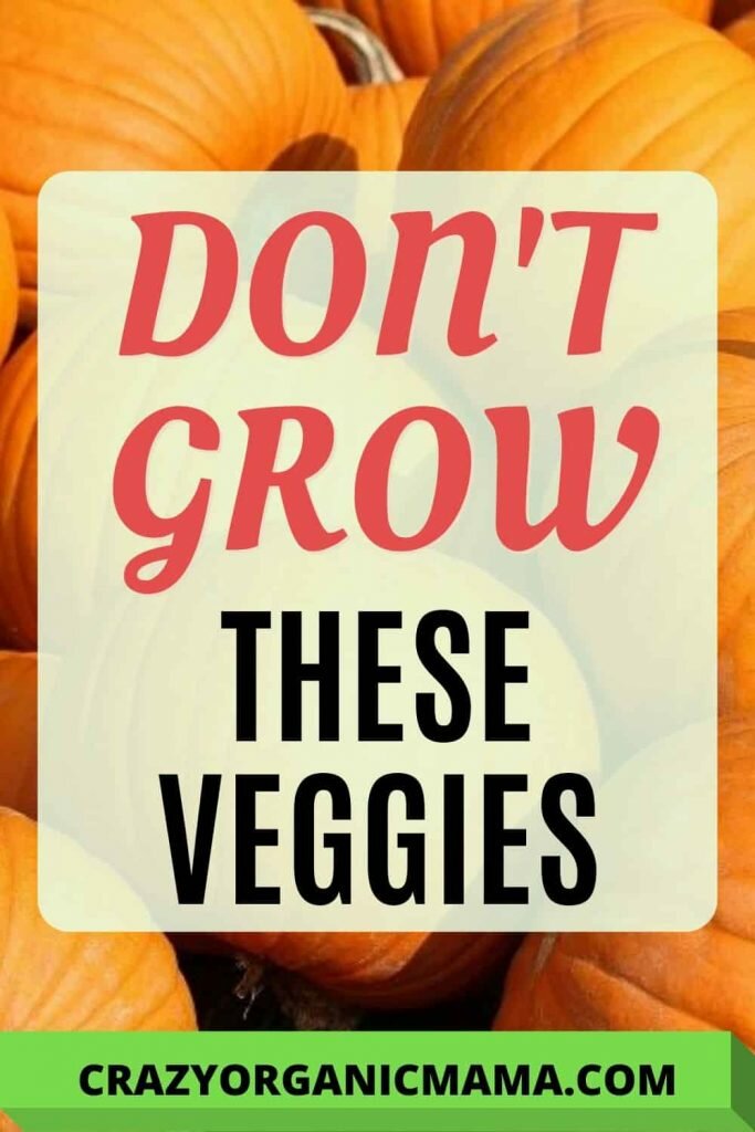 Don't grow these veggies pin 2
