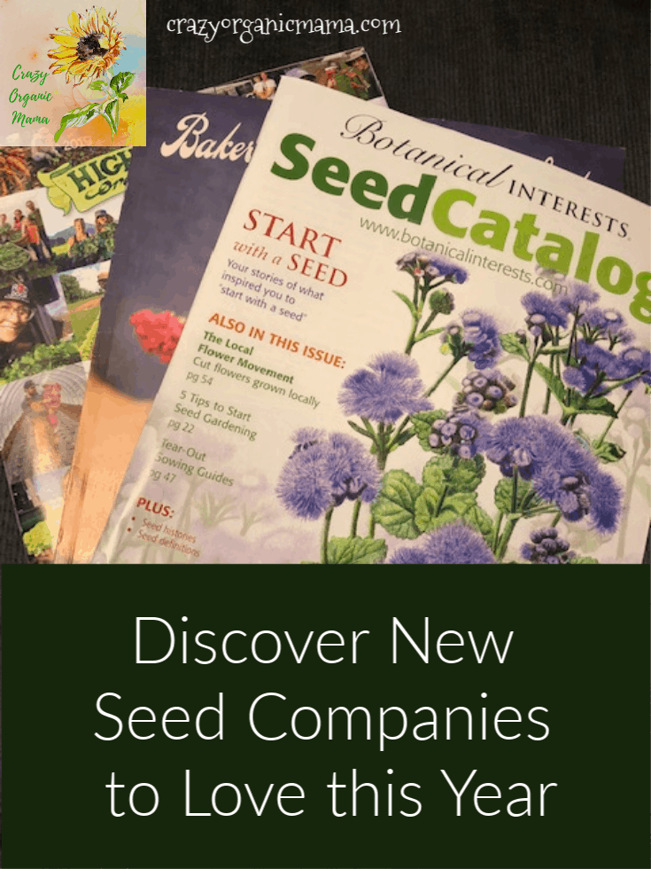 favorite seed catalogs