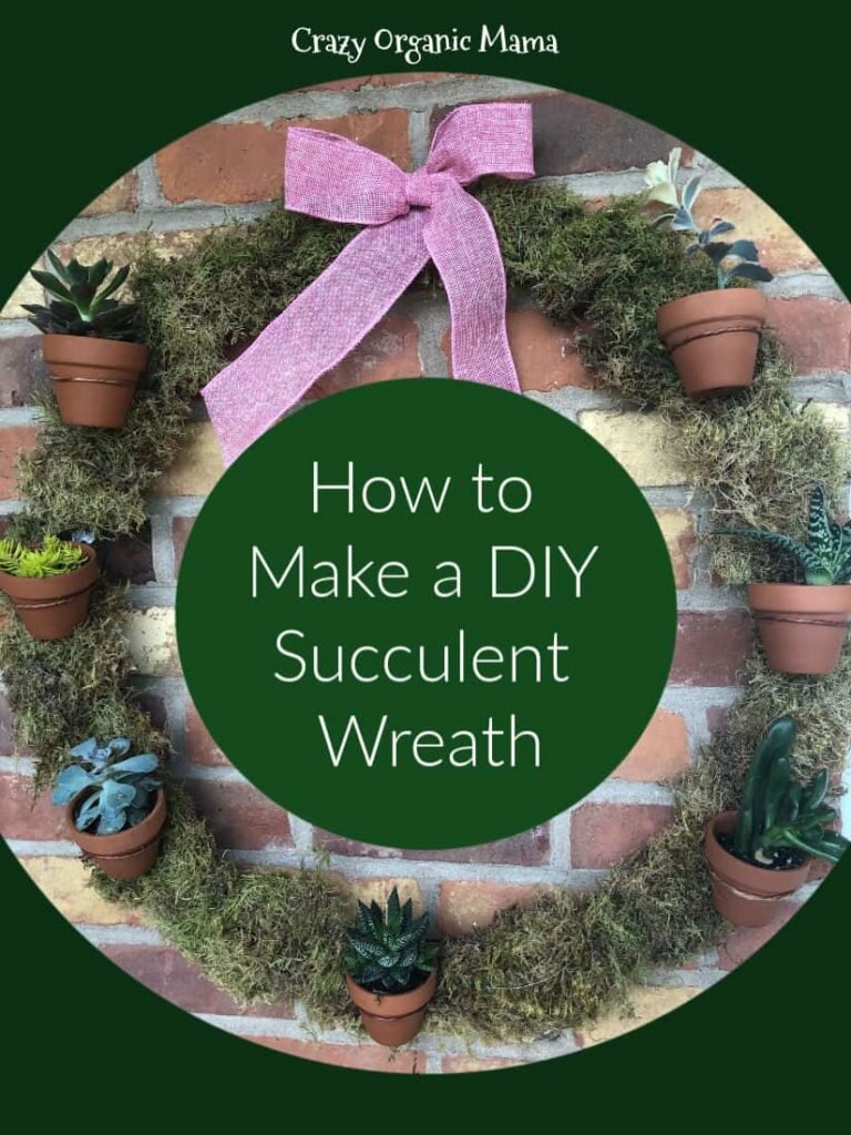 DIY Living Succulent wreath