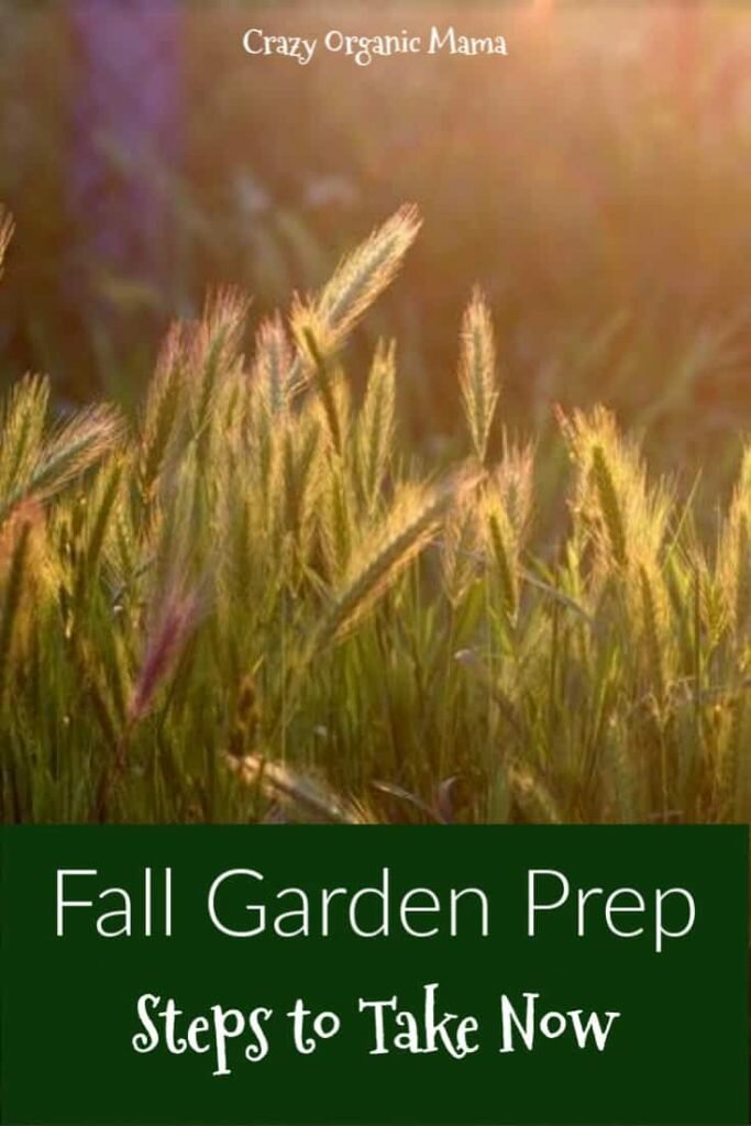 fall garden prep pin 2