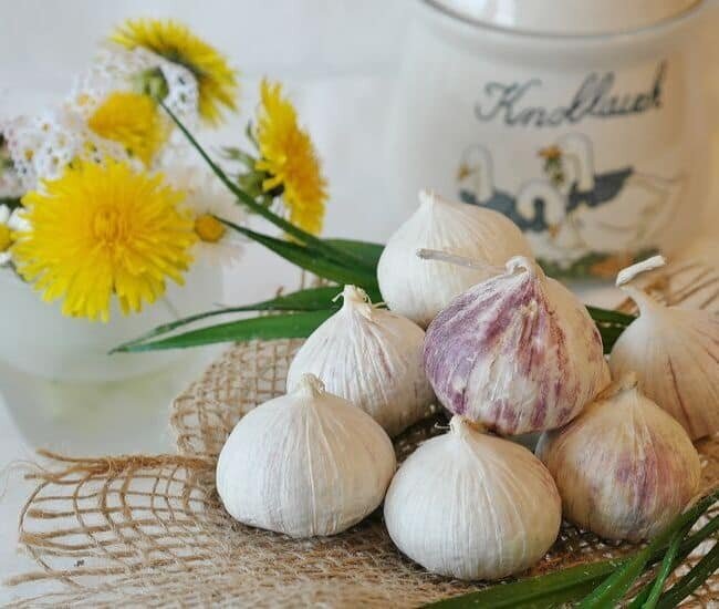garlic with flowers