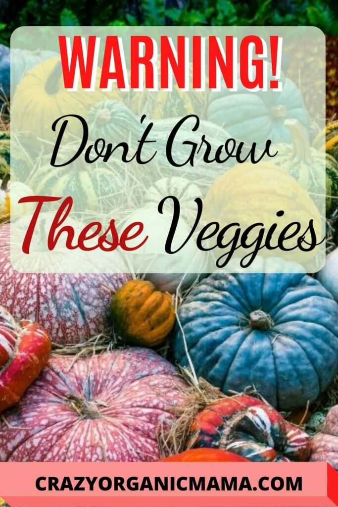 Don't grow these veggies pin 1